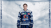 Hockey Tor GIF by Iserlohn Roosters