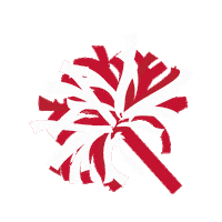 College Football Sticker by MiamiOH Student Life