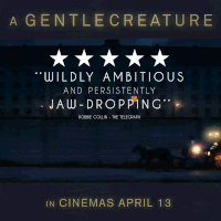 a gentle creature GIF