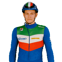 federazioneghiaccio ice wintersport sportinvernali speedskating Sticker