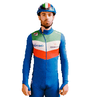 federazioneghiaccio ice wintersport sportinvernali speedskating Sticker