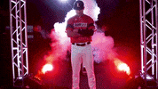 college baseball cws GIF by NCAA Championships