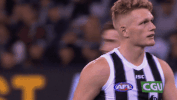 football sport GIF by CollingwoodFC