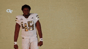 Georgia Tech Football Sport GIF by Georgia Tech Yellow Jackets