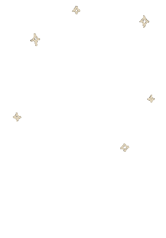 Star Sparkle Sticker