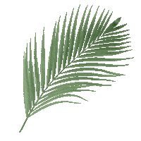 Summer Spring Sticker by Vnukovo Outlet Village