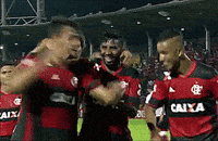 GIF by Flamengo