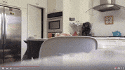 youtube wtf GIF by Internet Famous