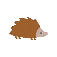 Hedgehog Sticker by Toby tiger