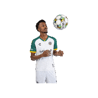 The Town Soccer Sticker by Oakland Roots Sports Club