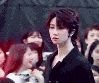 8thmailbox the8 minghao GIF
