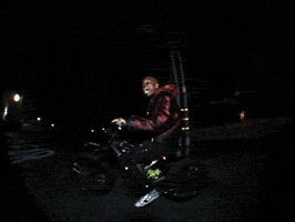 Wolf Bass GIF by IDK