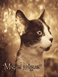 Cat Ai GIF