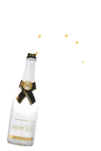 Cheers Champagne Sticker by Hercex