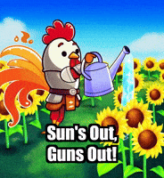 Summer Sunshine GIF by Zorooster