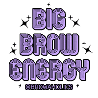 browaholics eyebrows brows eyebrow brow Sticker