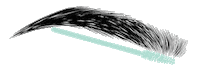 Distinctive_Features brows spoolie cosmetictattoo cosmetictattooing Sticker