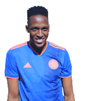 futbol colombia Sticker by Homecenter