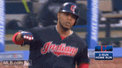Home Run Parrot GIF by MLB