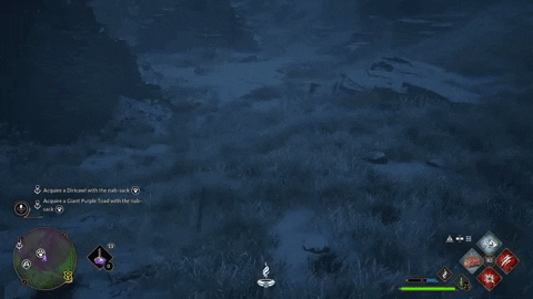 TopGEldenG giphygifmaker hogwarts legacy GIF