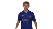 Tsg Hoffenheim What Sticker by Bundesliga