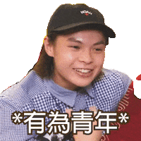 Tiger Sticker