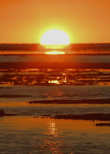 sunset GIF