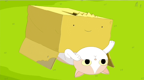 PrismosGifZone giphyupload cat meow adventure time GIF