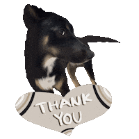 Dog Thank You Sticker