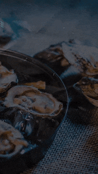 GIF by Agência Salish
