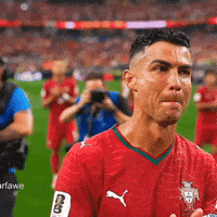 Portugal Ronaldo GIF