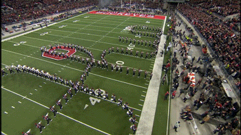 Ncaa Sports GIF by Ohio State Athletics