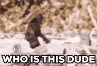 Bigfoot GIF