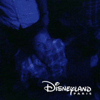 season of the force GIF by Disneyland Paris
