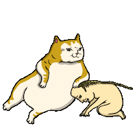 Cats 笑 Sticker