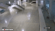 winter olympics cat GIF by SB Nation