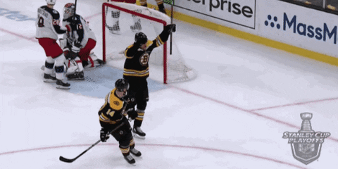 happy ice hockey GIF by NHL
