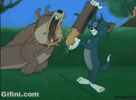 tom GIF