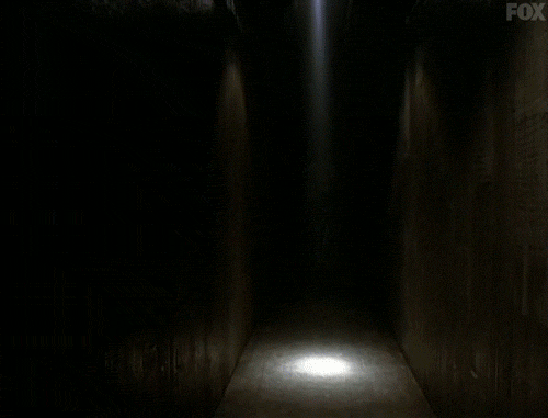 x files GIF by The X-Files