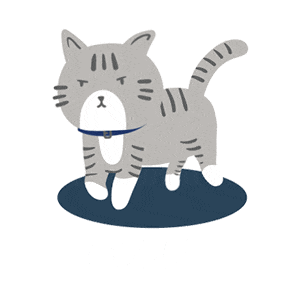 booksiri giphyupload cat booksiri booksiriworld Sticker
