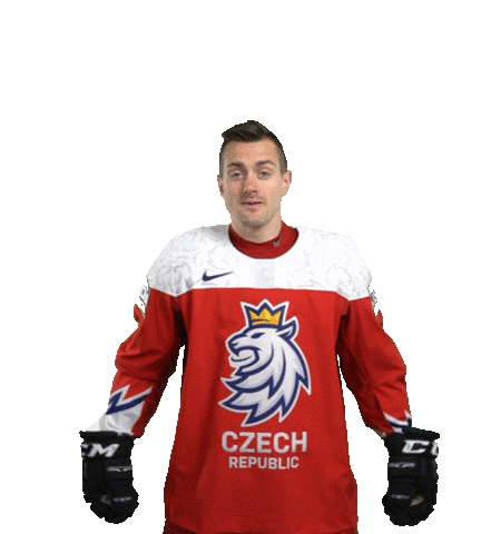 Celebration Hockey Sticker by Národní tým