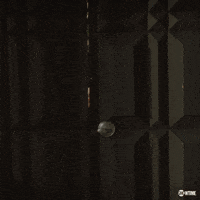 balling welcome home GIF by Showtime