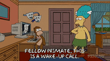 Season 18 Episode 22 GIF by The Simpsons