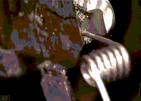 springs torsion GIF