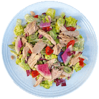 Fish Salad Sticker by Major Food Group