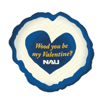 Heart Arizona Sticker by NAUADV