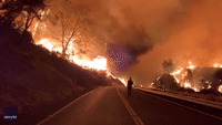 Flames Flank California Roadside as Wildfire Spreads Through Napa Valley