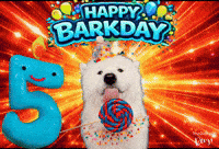 Birthday Benji GIF