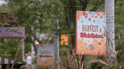 HallmarkChannel reaction halloween hallmark hallmark channel GIF