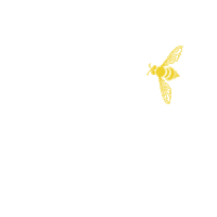 spring drinks Sticker by Evan Williams Honey